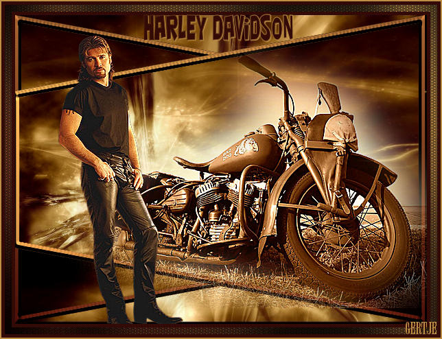 Harleydavidson